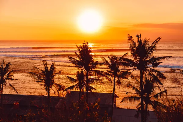 Sıcak gün batımı veya gündoğumu ideal okyanus dalgaları ve Hindistan cevizi avuç içi ile