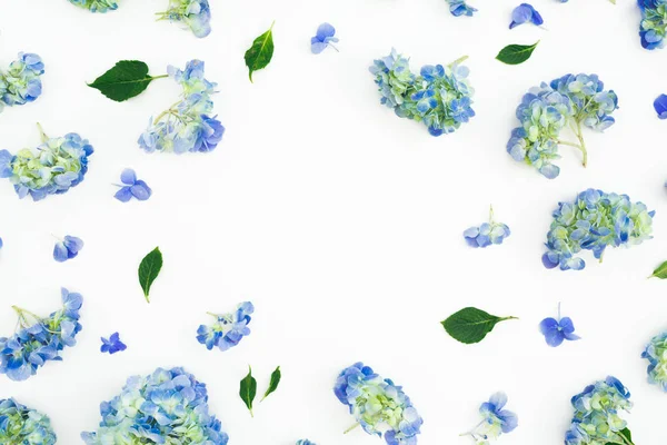 Cadre Floral Fleurs Hortensia Bleu Avec Des Feuilles Sur Fond — Photo