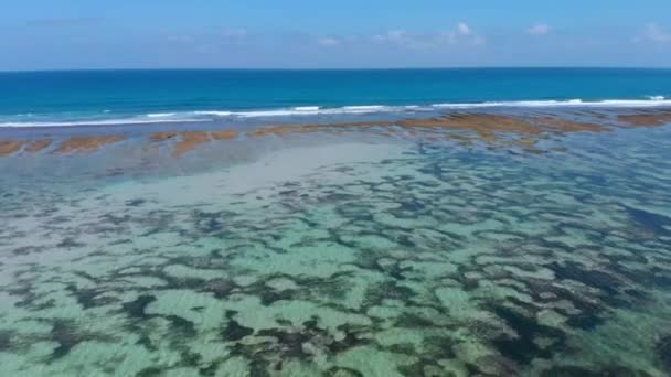 Océano Turquesa Con Arrecife Olas Vista Aérea Vista Superior — Vídeo de stock