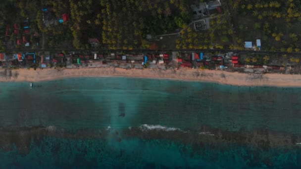 ビーチとビレッジ ココナッツのヤシのプランテーション クリスタルは青い海にヌサ ペニダ島のです 航空写真ビュー — ストック動画