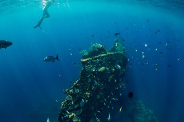 Ücretsiz dalgıç adam Dalış, batık, sualtı