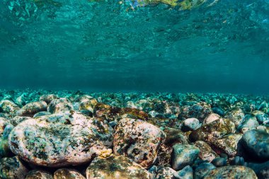 Sualtı manzara taşlar ve berrak su. Ocean doku