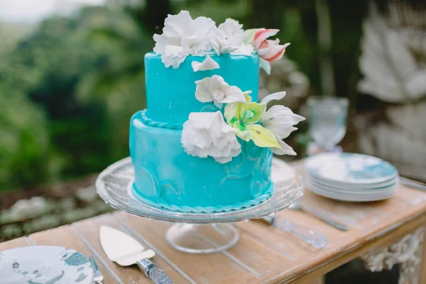 Wedding Turquoise Cake Sugar Flowers Wedding Catering — Stock Photo, Image