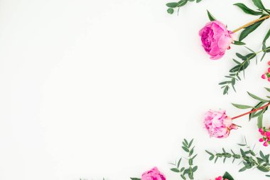 Pembe peonies, gül yaprakları ve beyaz arka plan üzerinde okaliptüs dalları ile çerçeve çiçek. Düz yatıyordu, en iyi görünümü