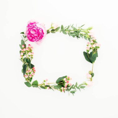 Beyaz arka plan üzerinde pembe çiçek, hypericum ve okaliptüs dalları ile çerçeve çiçek. Düz yatıyordu, en iyi görünümü