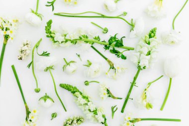 Floral pattern of white spring flowers on white background. Flat lay, top view.