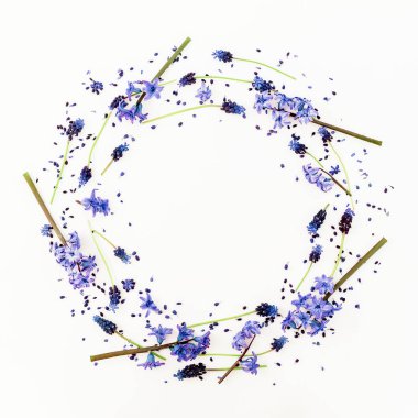 Bahar çiçekleri ve beyaz arka plan üzerinde pembe sümbül çiçek ile çerçeve çiçek. Düz yatıyordu, en iyi görünümü