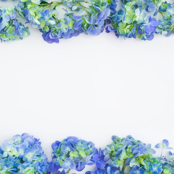 Květinový Rámeček Modré Hortenzie Květy Bílém Pozadí Pohled Ploché Ležel — Stock fotografie