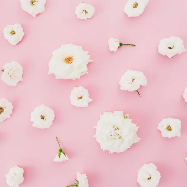 Rosas Blancas Sobre Fondo Rosa Pastel Piso Tendido Vista Superior — Foto de Stock