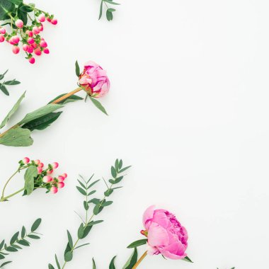 Pembe peonies, hypericum ve okaliptüs ile çerçeve çiçek beyaz arka plan üzerinde dalları. Düz yatıyordu, en iyi görünümü