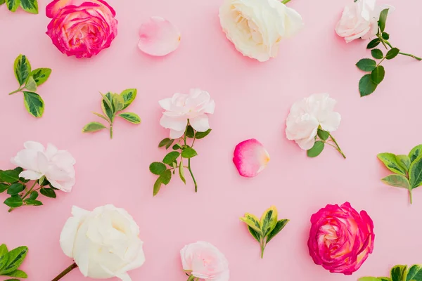Цветочный Узор Композиция Цветами Роз Листья Розовом Фоне Квартира Лежала — стоковое фото