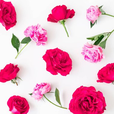 Beyaz arka plan üzerinde pembe güller, yaprakları ve peonies çiçek deseni. Düz yatıyordu, en iyi görünüm. Çiçekler doku.