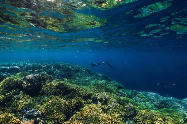 Free Diver Dive Ocean Underwater View Rocks — Stock Photo, Image