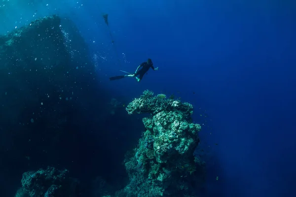 Free diver underwater in ocean with rocks and corals