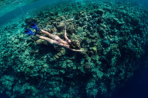 Kobieta Bikini Zanurz Się Ocean Lub Tropikalny Ogród — Zdjęcie stockowe