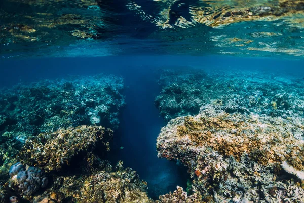 Rocas Submarinas Con Corales Océano Azul Isla Menjangan — Foto de Stock