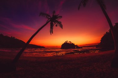 Hindistan cevizi avuç içi ve tropikal Beach ile okyanus pembe günbatımı