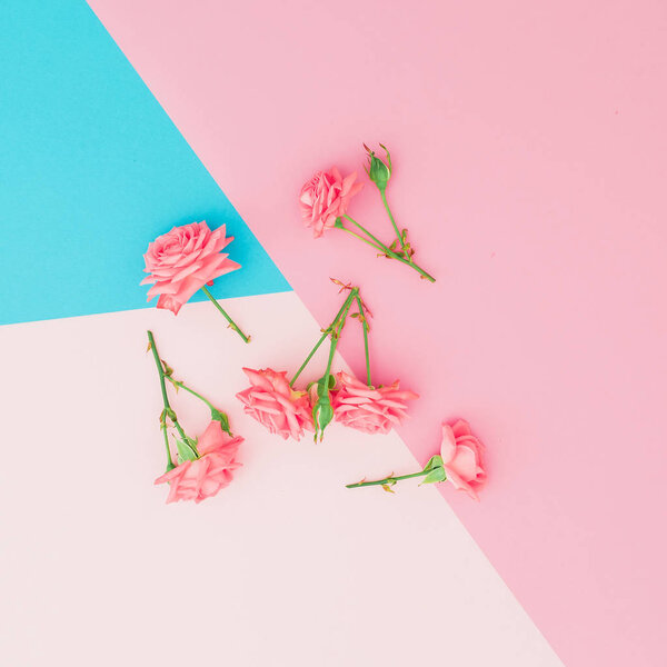 Blue and pink pastel background with pink flowers. Flat lay. Top view