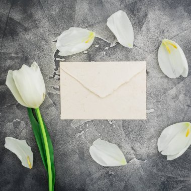 Beyaz çiçek ve yaprakları gri arka plan üzerinde zarf ile çerçeve çiçek. Düz yatıyordu, en iyi görünüm. Çiçek arka plan.