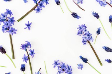 Beyaz zemin üzerine mavi çiçekli çerçeve çiçek. Düz yatıyordu, en iyi görünümü