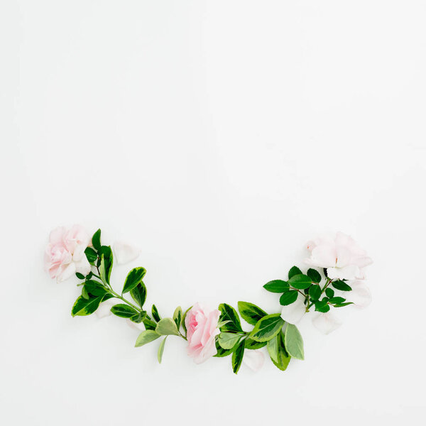 Floral composition of roses and green leaf on white background. Flat lay, top view.