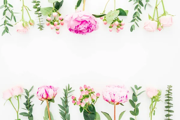 ピンクの花 オトギリソウ 白地のユーカリの花のフレーム フラット横たわっていた トップ ビュー — ストック写真