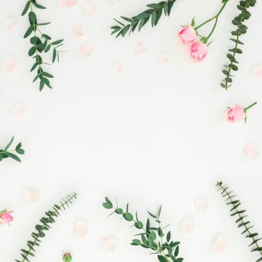 Pembe güller ve beyaz arka plan üzerinde okaliptüs dalları çiçek çerçeve. Düz yatıyordu, en iyi görünümü