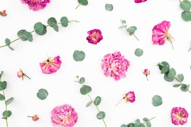 Çiçek desenli pembe çiçekler ve okaliptüs dalları beyaz arka plan üzerinde. Düz yatıyordu, en iyi görünüm. Sevgiliye arka plan