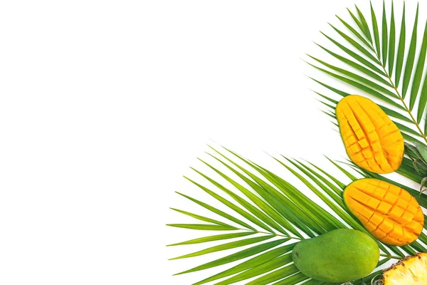 Ananas Mango Meyve Palm Ile Tropikal Çerçeve Beyaz Zemin Üzerine — Stok fotoğraf