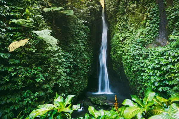 Водопад Тропическими Растениями Бали — стоковое фото