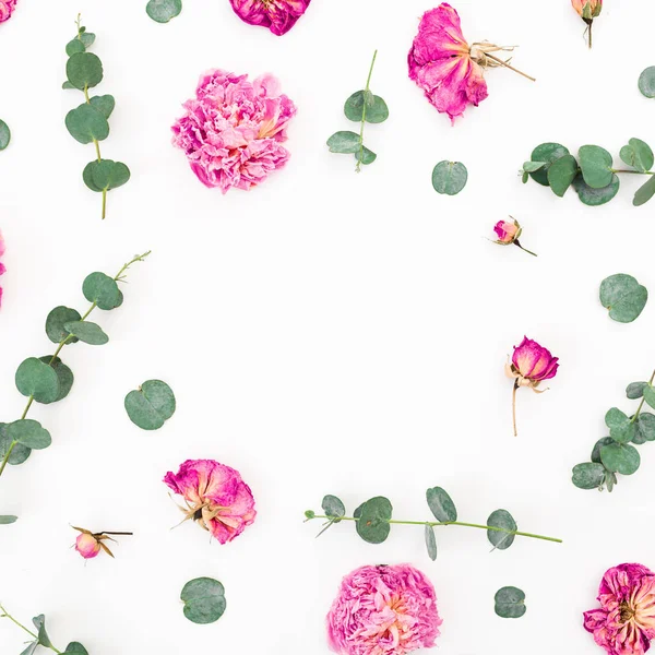 Patrón Floral Flores Rosadas Ramas Eucalipto Sobre Fondo Blanco Piso — Foto de Stock