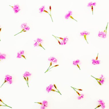Çiçek desenli beyaz arka plan üzerinde pembe çiçekli. Düz yatıyordu, en iyi görünüm. Çiçekler kavramı.