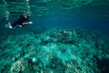 Freediver adam keşfetmek deniz yaşam Okyanusu, sualtı