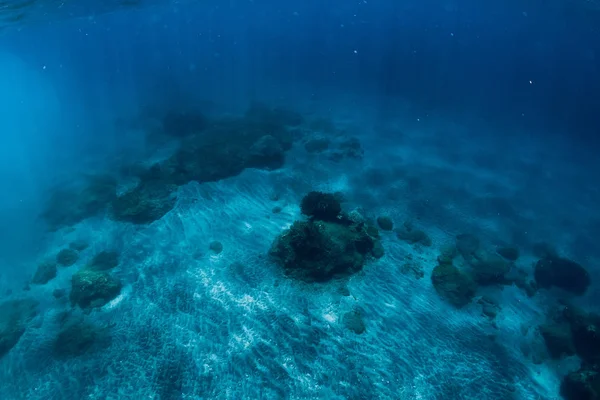 Tranquila Escena Submarina Con Espacio Para Copias Mar Azul Tropical — Foto de Stock