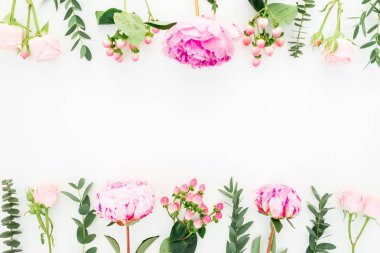 Pembe peonies, hypericum ve okaliptüs beyaz arka plan üzerinde oluşan çerçeve çiçek. Düz yatıyordu, en iyi görünümü