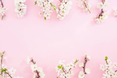 Pastel pembe arka plan bahar çiçekleri ile çerçeve çiçek. Düz yatıyordu, en iyi görünüm. Bahar zamanı