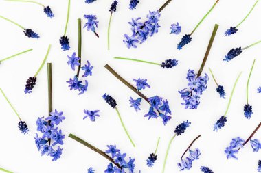 Desen yaptı mavi bahar çiçekleri ve yaprakları, çiçek desenli beyaz arka plan üzerinde. Düz yatıyordu, en iyi görünümü.