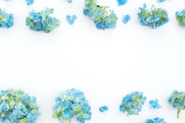 Ortanca çiçek beyaz arka plan üzerinde çerçeve çiçek. Düz yatıyordu