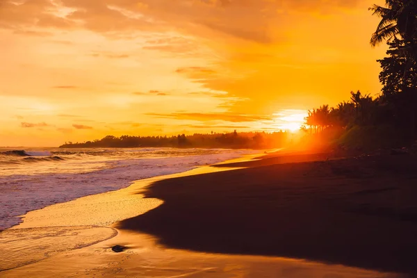 Warme Zonsondergang Zonsopgang Met Golven Van Oceaan Kokospalmen Kust Van — Stockfoto