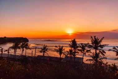 İdeal okyanus dalgaları ve Hindistan cevizi avuç içi ile gündoğumu veya günbatımı