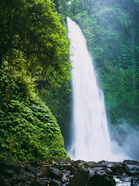バリ島の強力な滝があります 熱帯林と滝 — ストック写真