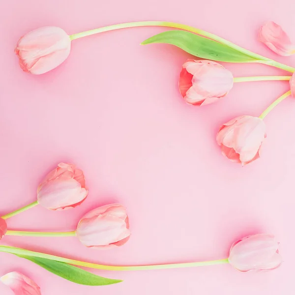 Белые Цветы Лепестки Розовом Фоне Концепция Блогера Женщины Плоский Лежал — стоковое фото