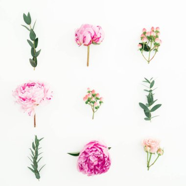 Beyaz arka planda peonies, gül, Hypericum ve okaliptüs ile Floral kompozisyon. Düz yatıyordu, üst görünüm