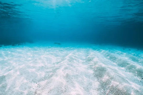 Tropikal Mavi Okyanus Beyaz Kum Hawaii Sualtı — Stok fotoğraf