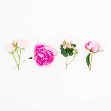 Pembe peonies ve güller çiçek ve okaliptüs beyaz arka plan üzerinde. Düz yatıyordu