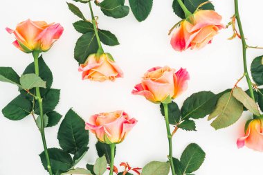 Çiçek desenli beyaz zemin üzerine gül çiçekli. Düz yatıyordu, en iyi görünümü.