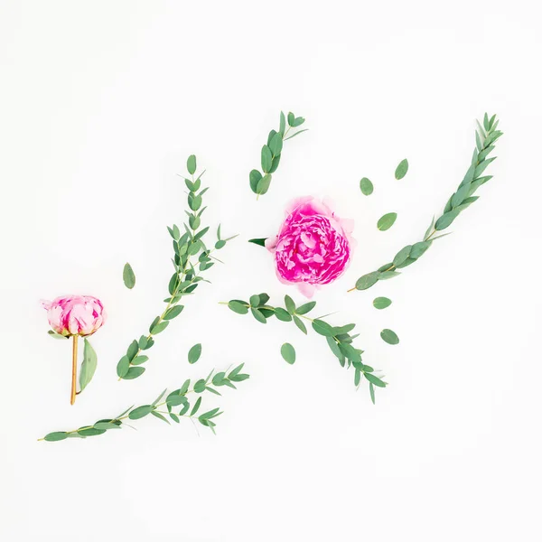Pedónias Cor Rosa Rosas Flores Eucalipto Sobre Fundo Branco Depósito — Fotografia de Stock