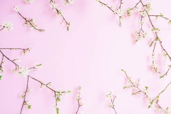 Cadre Floral Avec Des Fleurs Blanches Sur Fond Rose Pastel — Photo