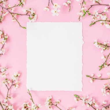 Beyaz çiçekler ve kart üzerinde pastel pembe bir arka plan ile çerçeve çiçek. Düz yatıyordu, en iyi görünümü.