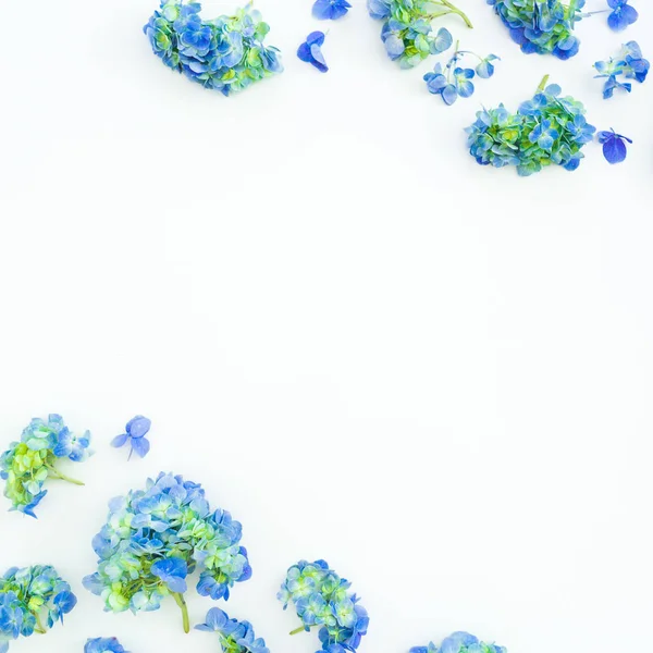 Floral Frame Blue Hydrangea Flowers White Background Flat Lay Top — Stock Photo, Image
